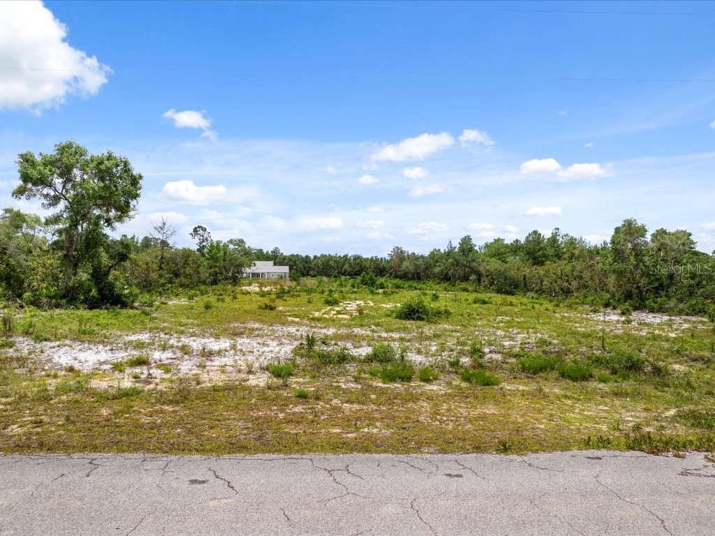 Larkspur (Lot 7) Avenue Eustis FL 32736 - LAKE NORRIS O6118344 image1