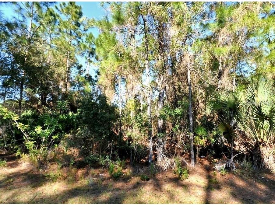 Larrimore Avenue North Port FL 34291 C7512236 image4