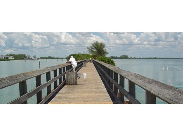 Las Almanos Avenue North Port FL 34288 C7513750 image6