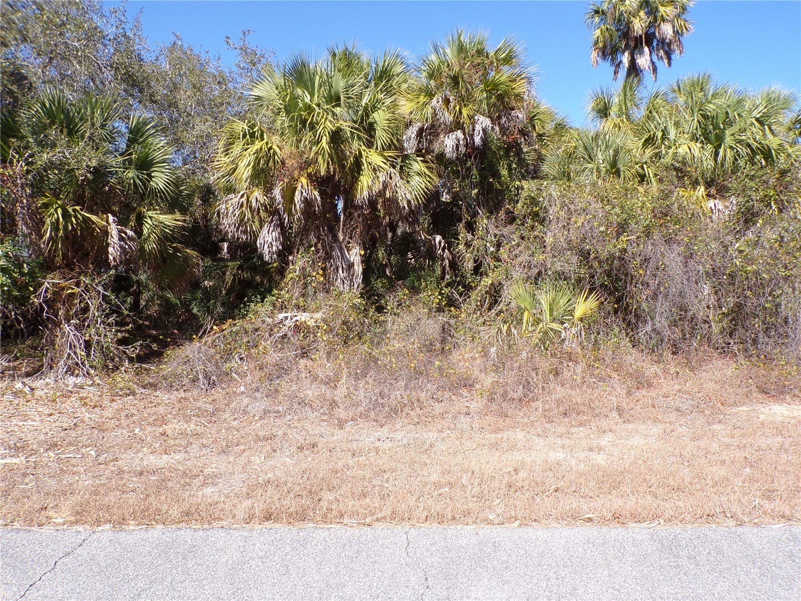 Las Almanos Avenue North Port FL 34288 C7521955 image1