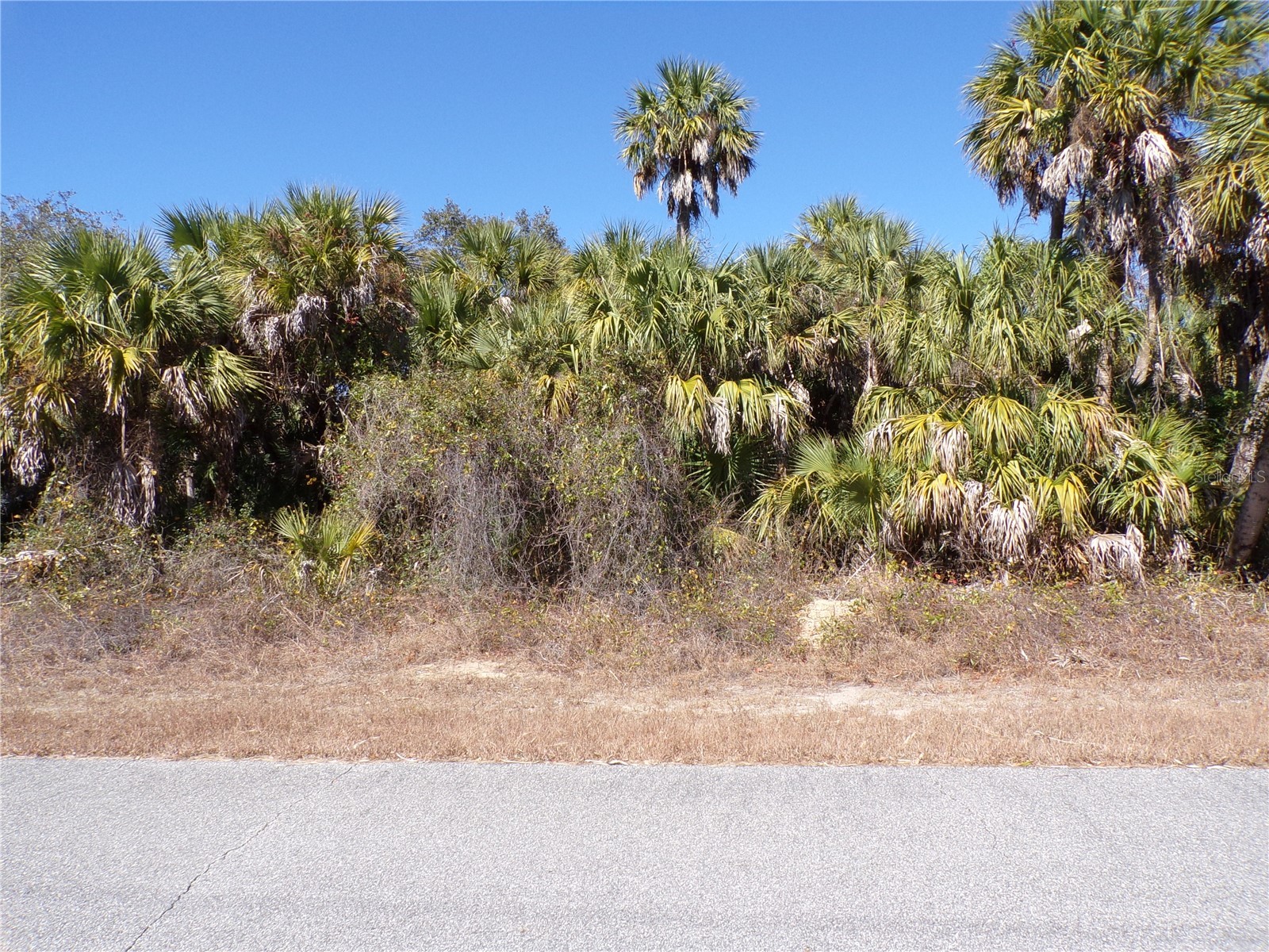Las Almanos Avenue North Port FL 34288 C7521955 image5