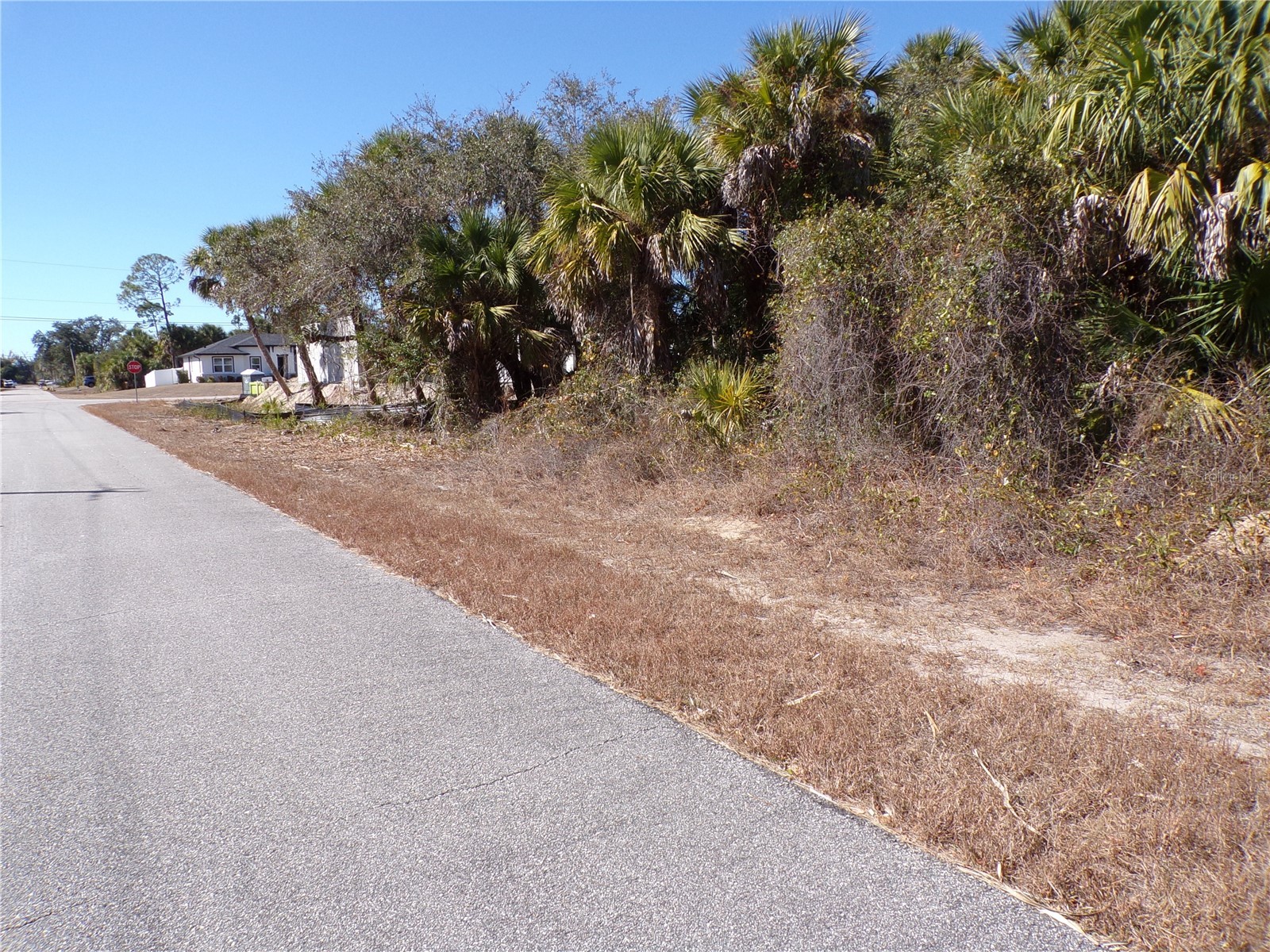 Las Almanos Avenue North Port FL 34288 C7521955 image7