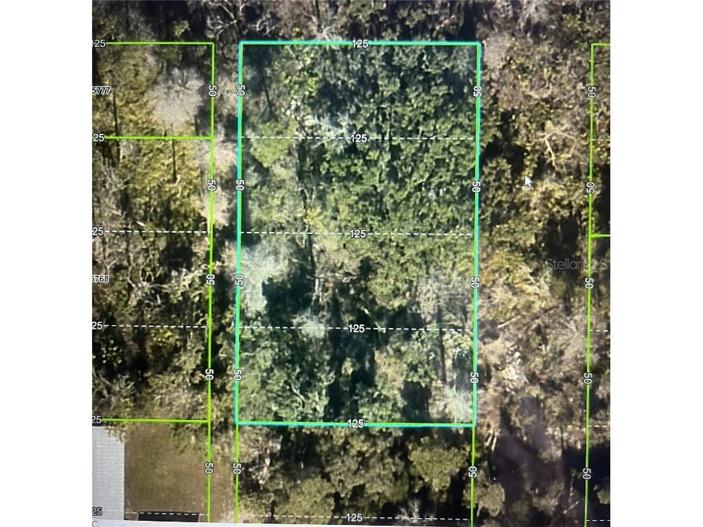 Las Palmas Avenue Spring Hill FL 34606 TB8371023 image2