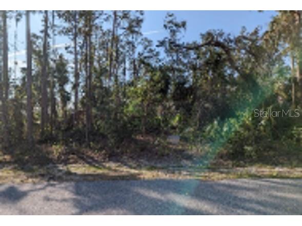 Las Vegas Avenue North Port FL 34288 O6190138 image1