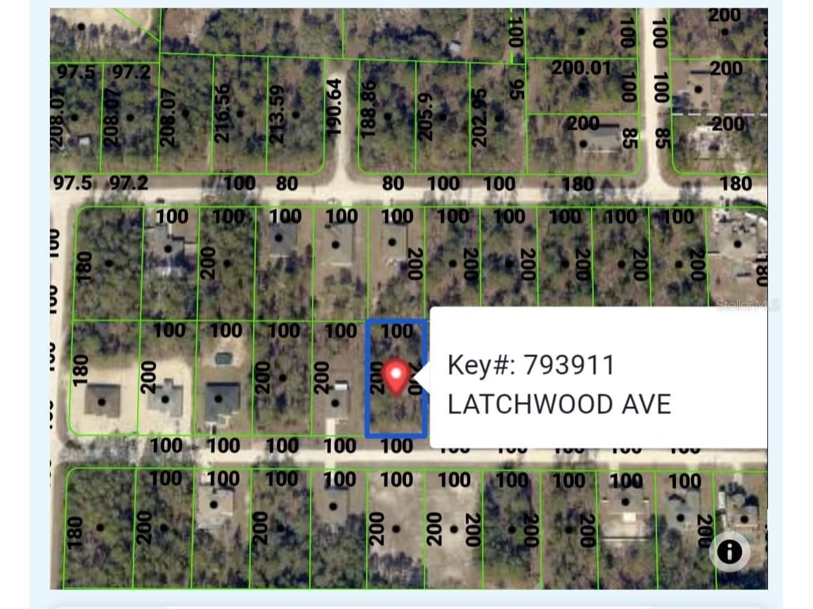 11407 Latchwood Avenue Weeki Wachee FL 34614 TB8524136 image1