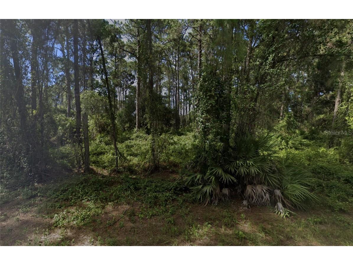 Latour Avenue North Port FL 34291 T3538684 image1