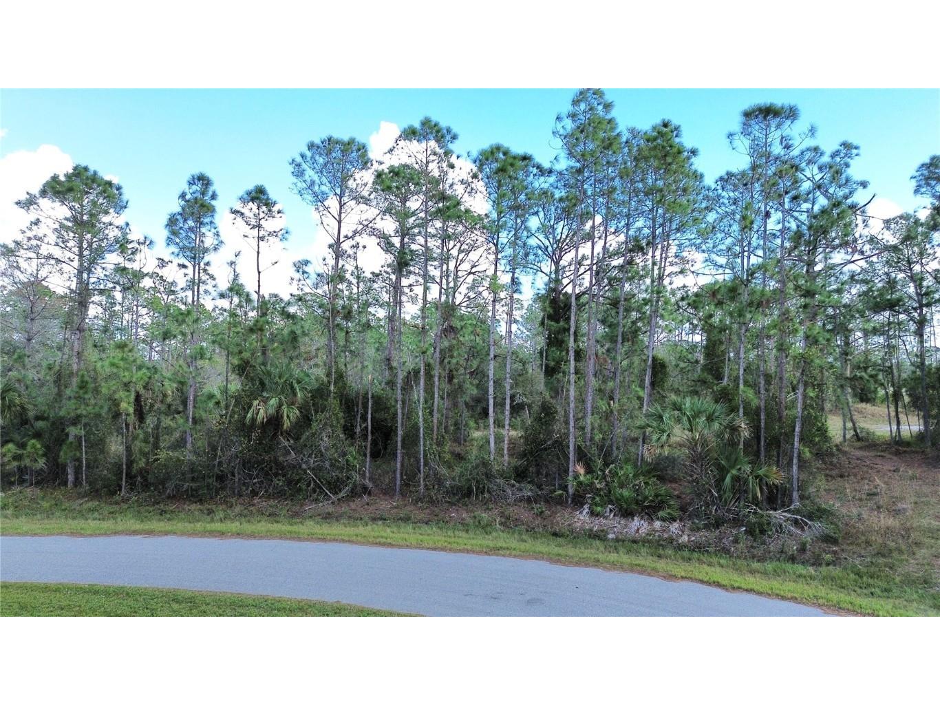 Latour Avenue North Port FL 34291 C7502183 image1