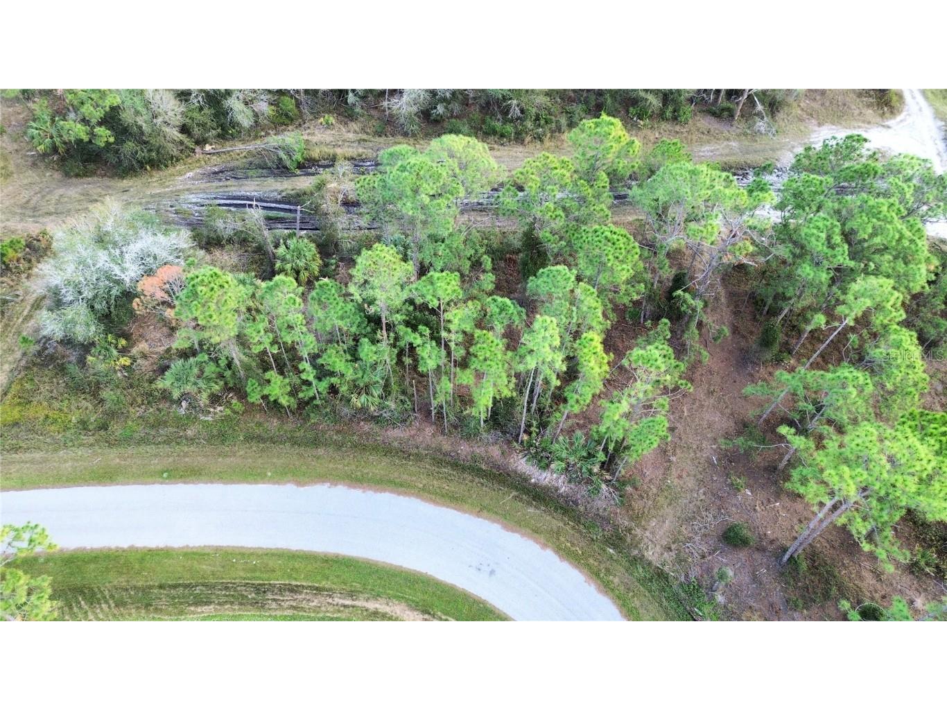 Latour Avenue North Port FL 34291 C7502183 image3