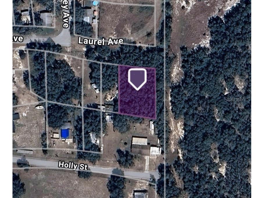 Laurel Avenue Lake Wales FL 33898 TB8355075 image1