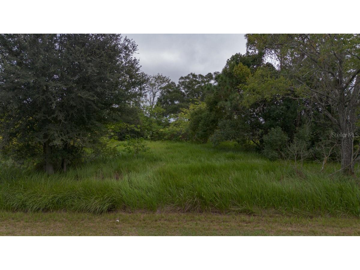 Laurel Ct Ocala FL 34478 TB8442263 image1