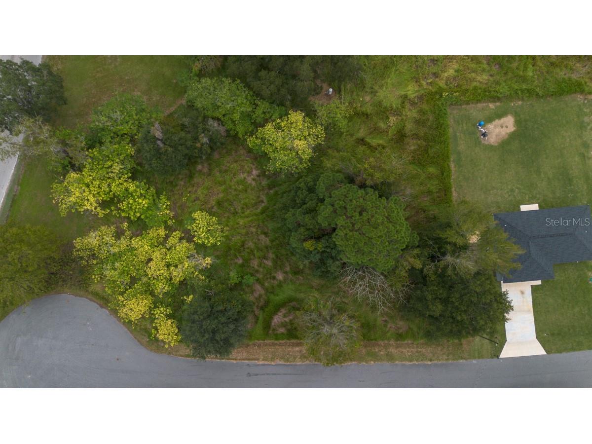 Laurel Ct Ocala FL 34478 TB8442263 image8