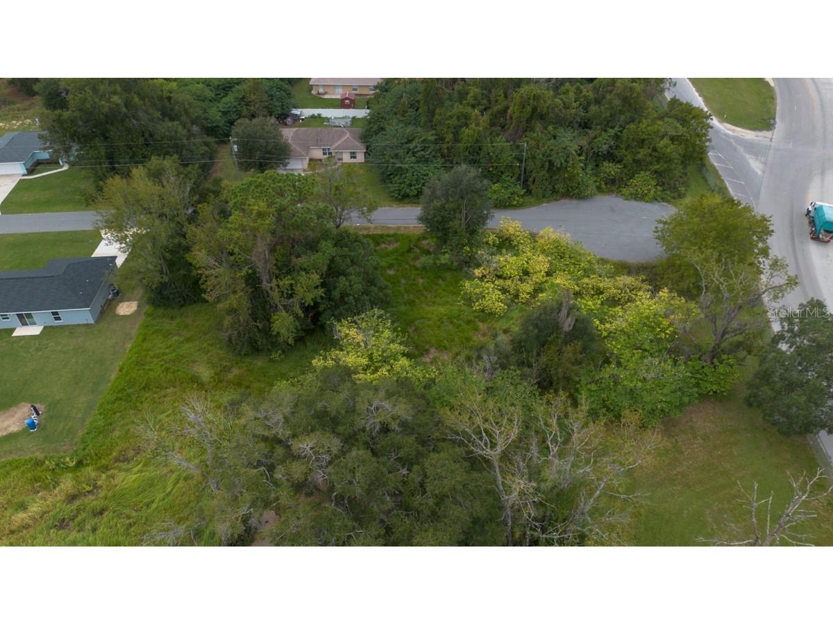 Laurel Ct Ocala FL 34478 TB8442263 image9