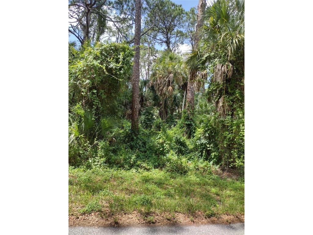 Lavender Avenue North Port FL 34288 C7461776 image1