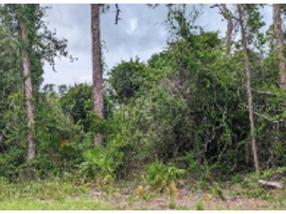 Lavender Avenue North Port FL 34288 O6182380 image1