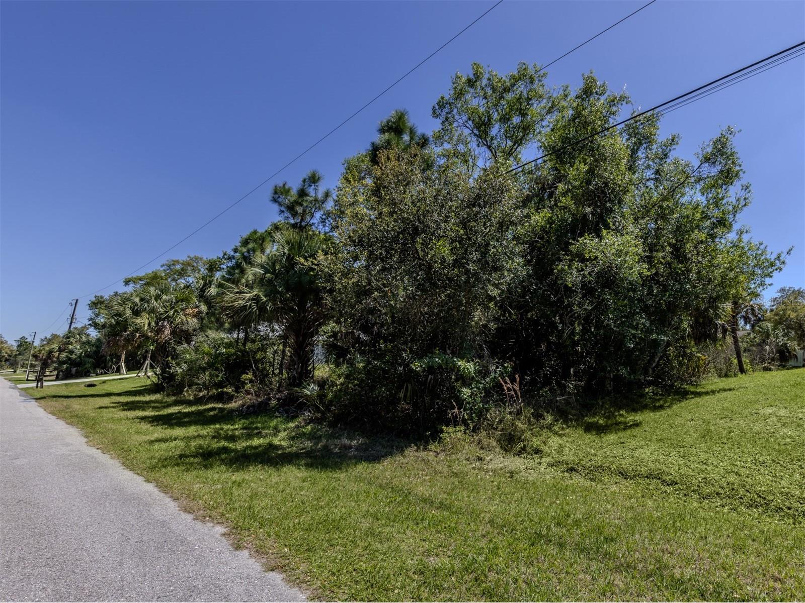 Lavilla Avenue North Port FL 34286 N6142713 image19