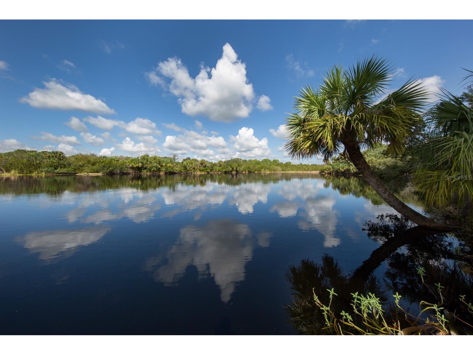 Lavilla Avenue North Port FL 34286 N6142713 image22