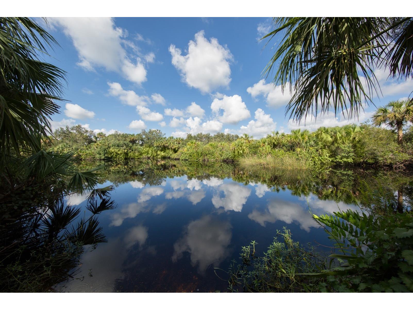 Lavilla Avenue North Port FL 34286 N6142713 image23