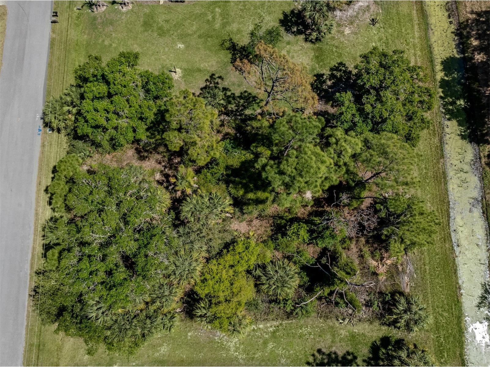 Lavilla Avenue North Port FL 34286 N6142713 image5