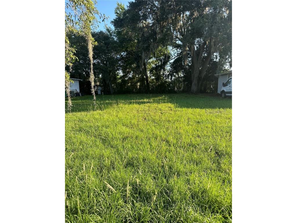 Lawanda Loop Zephyrhills FL 33541 T3528259 image1