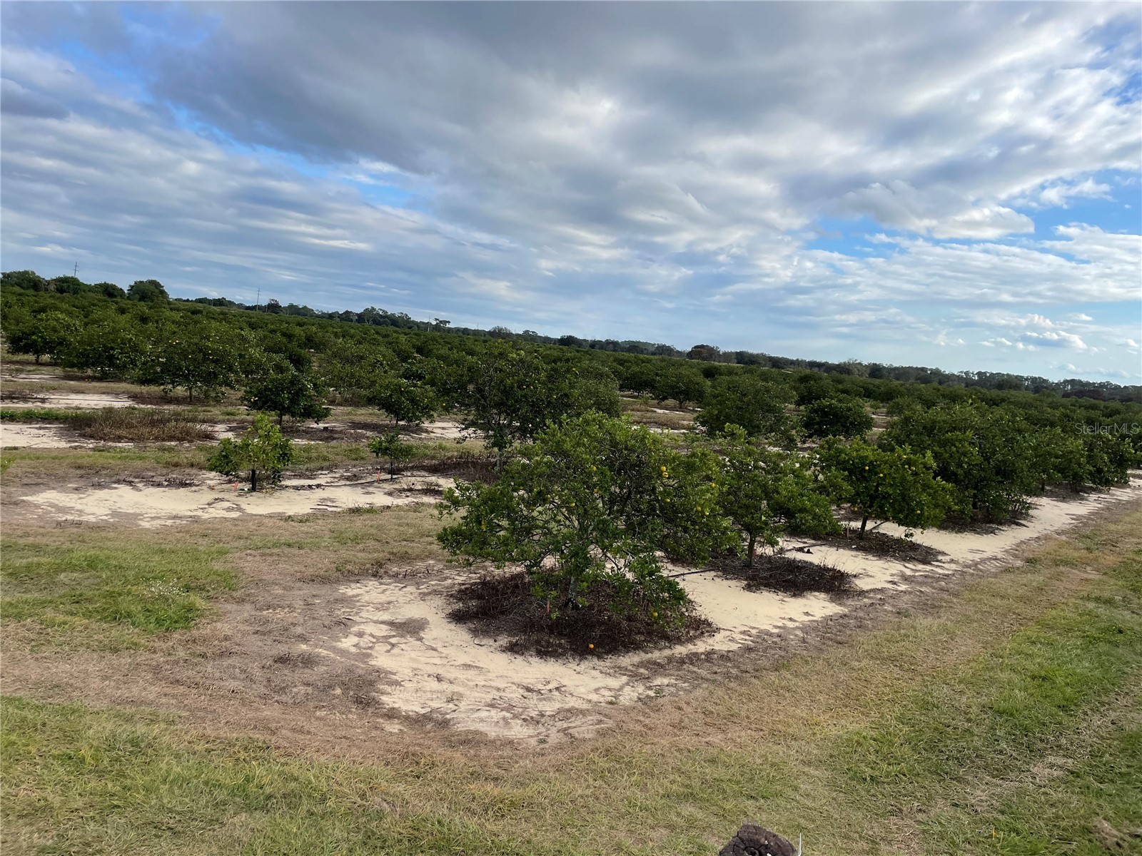 Lawrence Stewart Road Frostproof FL 33843 K4901875 image11