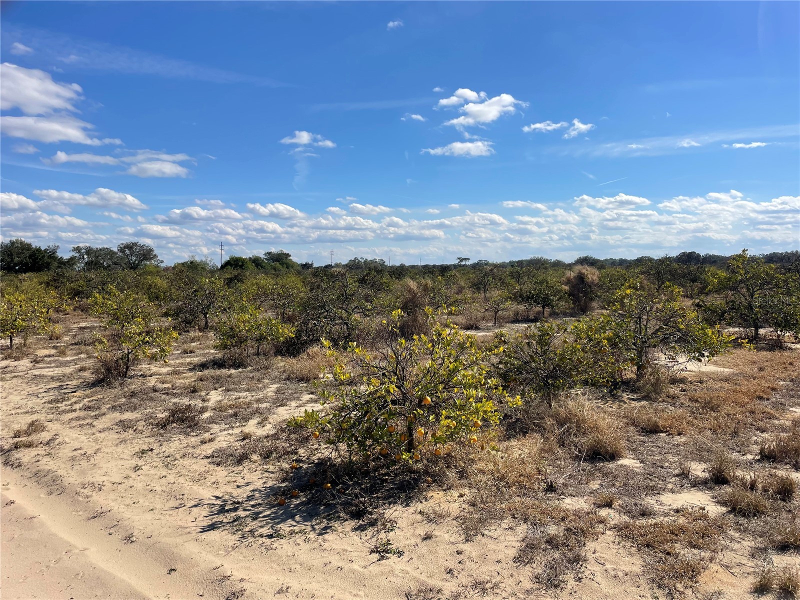 Lawrence Stewart Road Frostproof FL 33843 K4901875 image3