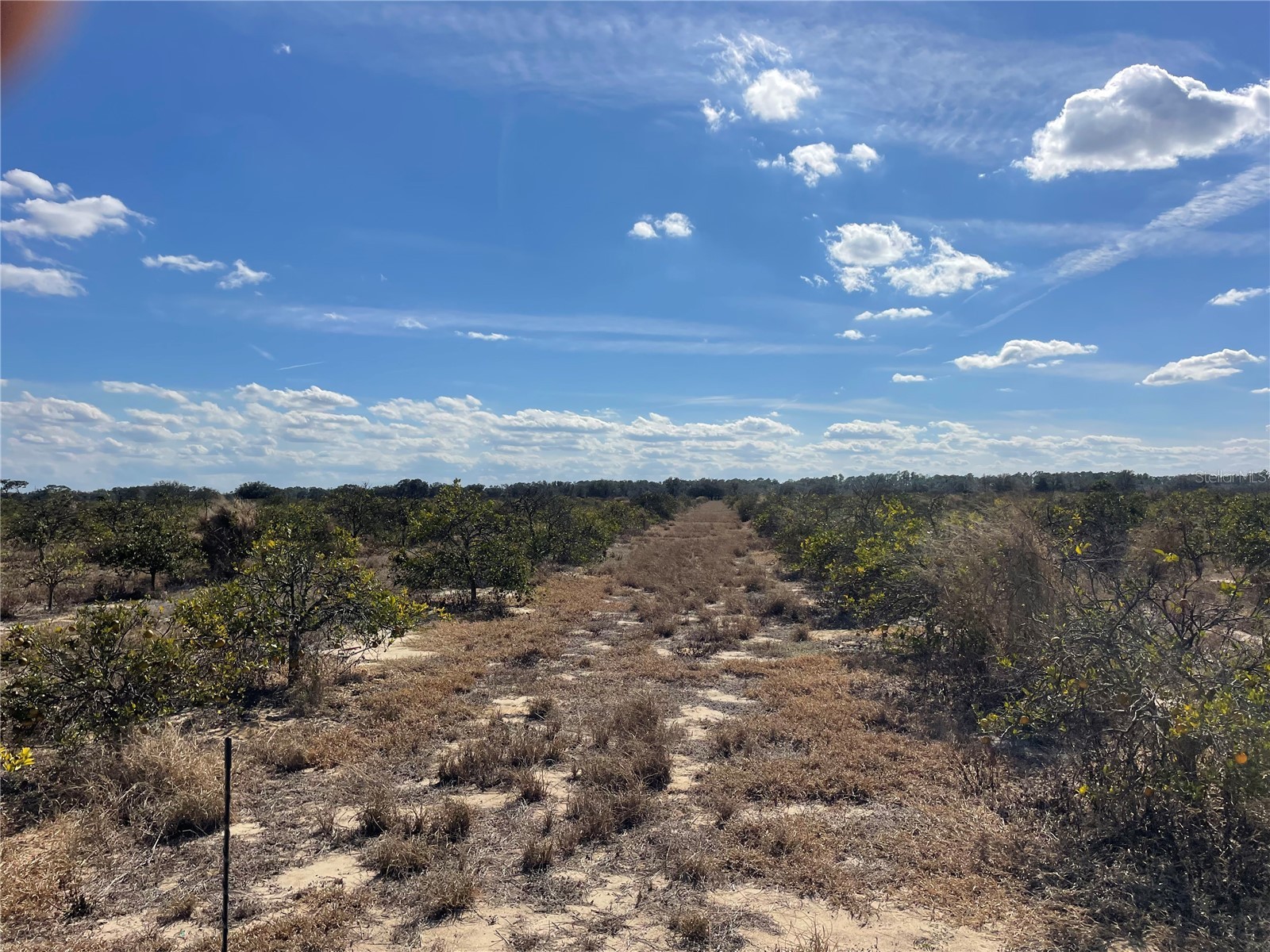 Lawrence Stewart Road Frostproof FL 33843 K4901875 image4