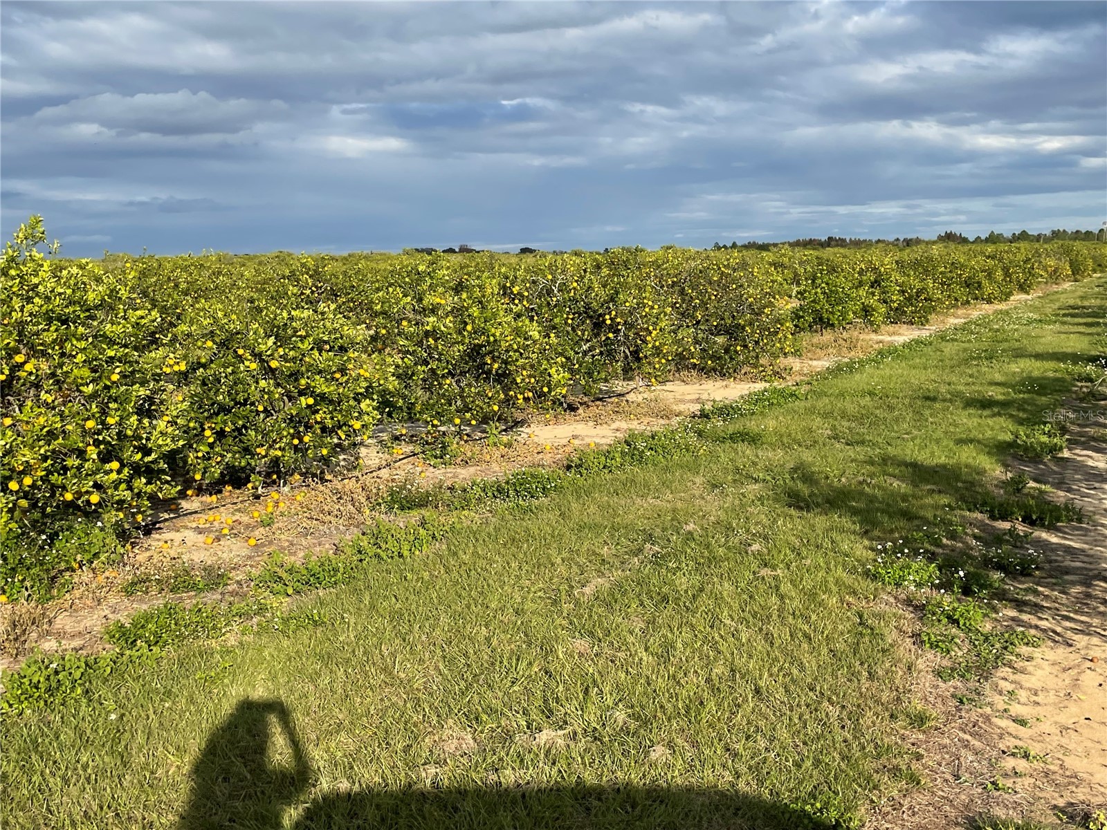 Lawrence Stewart Road Frostproof FL 33843 K4901875 image9