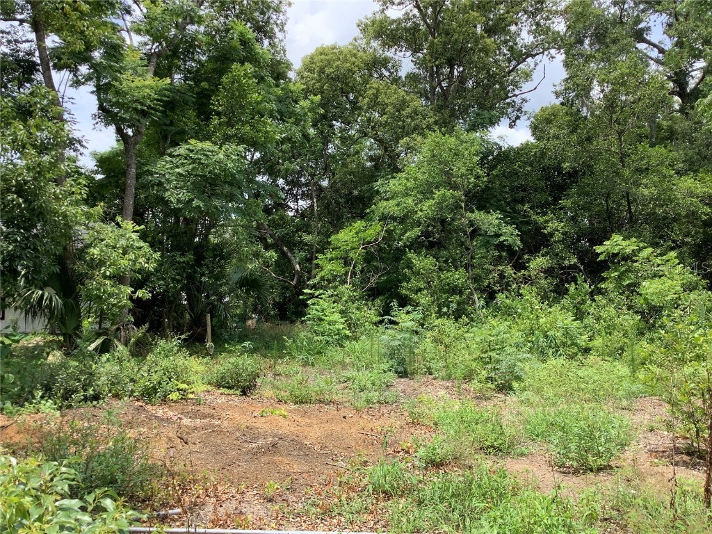 Lawrence Street Sorrento FL 32776 O6215713 image1