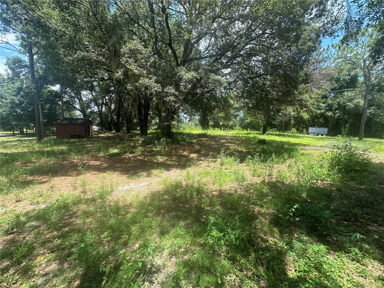 Lazy Acres Lane Longwood FL 32750 O6419167 image3