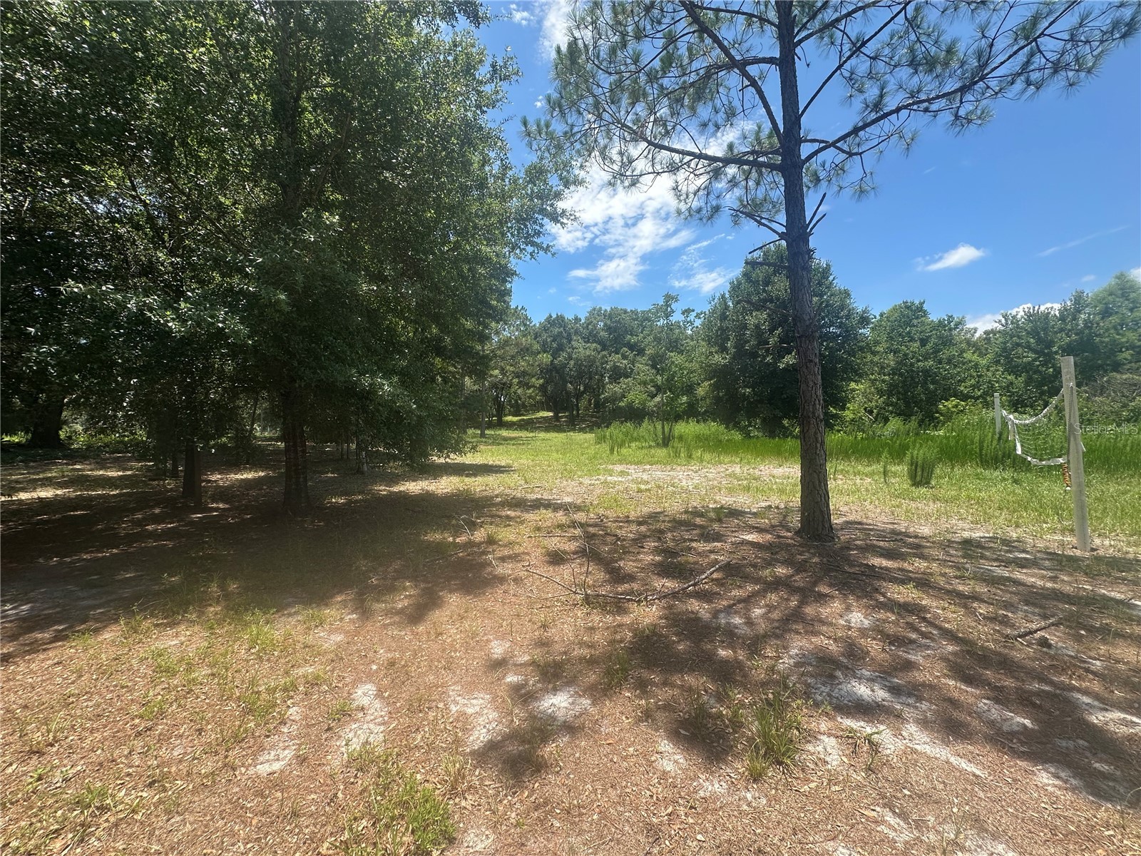 Lazy Acres Lane Longwood FL 32750 O6419167 image4