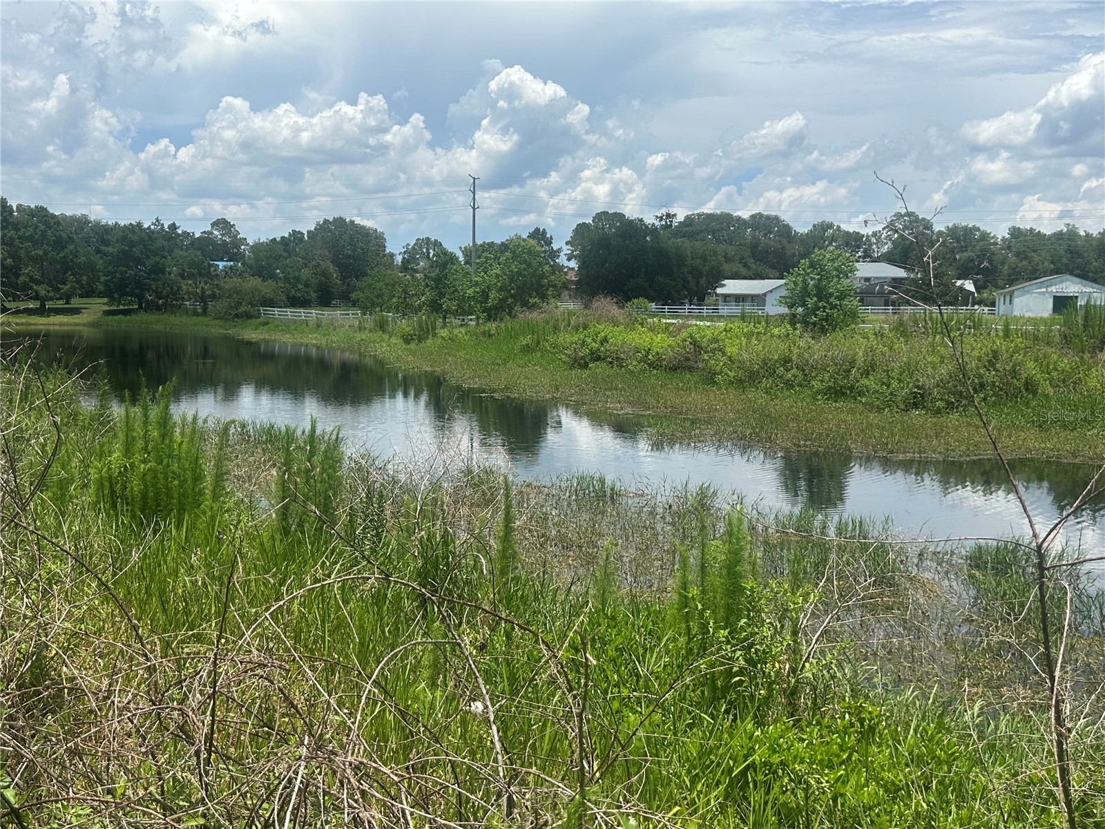 Lazy Acres Lane Longwood FL 32750 O6419167 image5