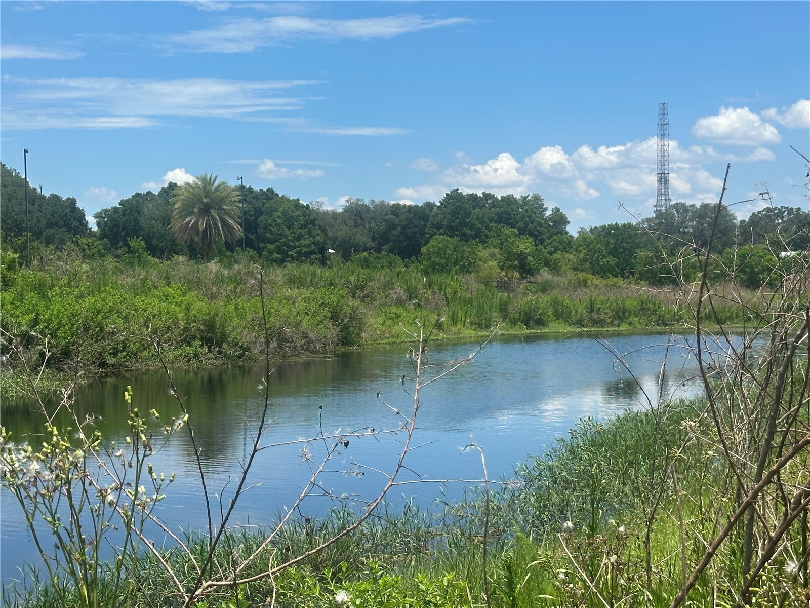 Lazy Acres Lane Longwood FL 32750 O6419167 image6