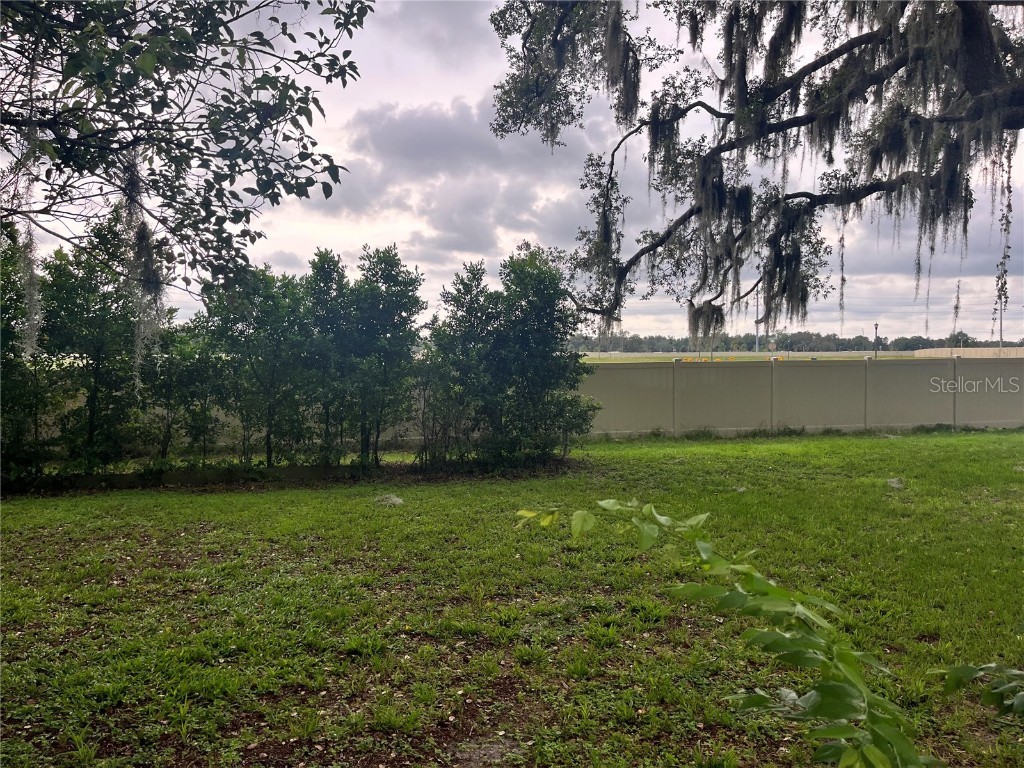Lea Zephyrhills FL 33541 T3469144 image1