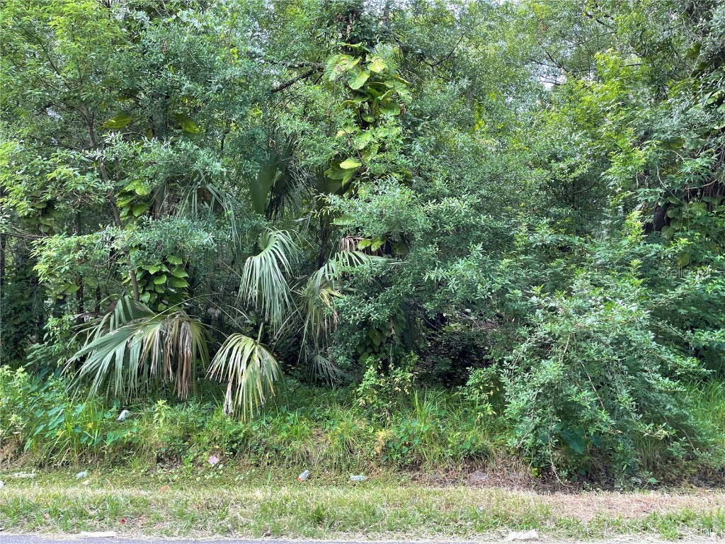 Lebanon Road Lakeland FL 33815 L4923278 image1