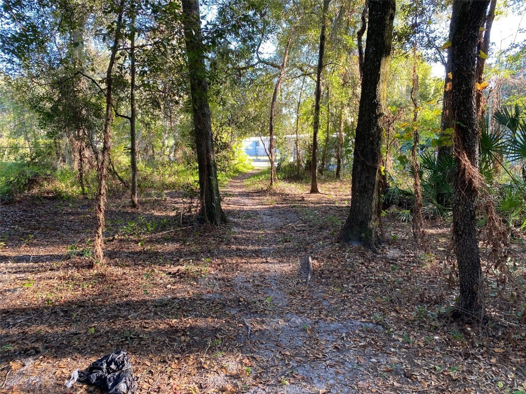 Leesburg Blvd Road Fruitland Park FL 34731 O5986499 image1