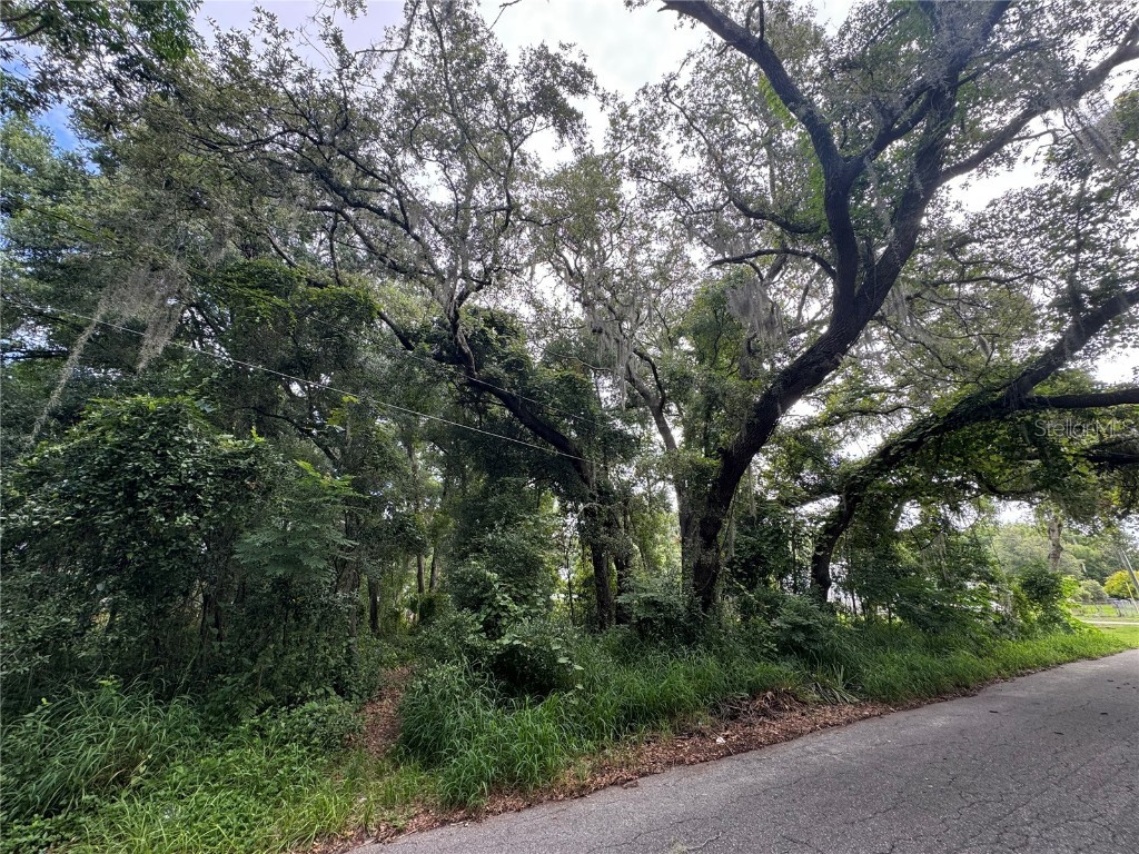 Leesburg Boulevard Fruitland Park FL 34731 OM680923 image1