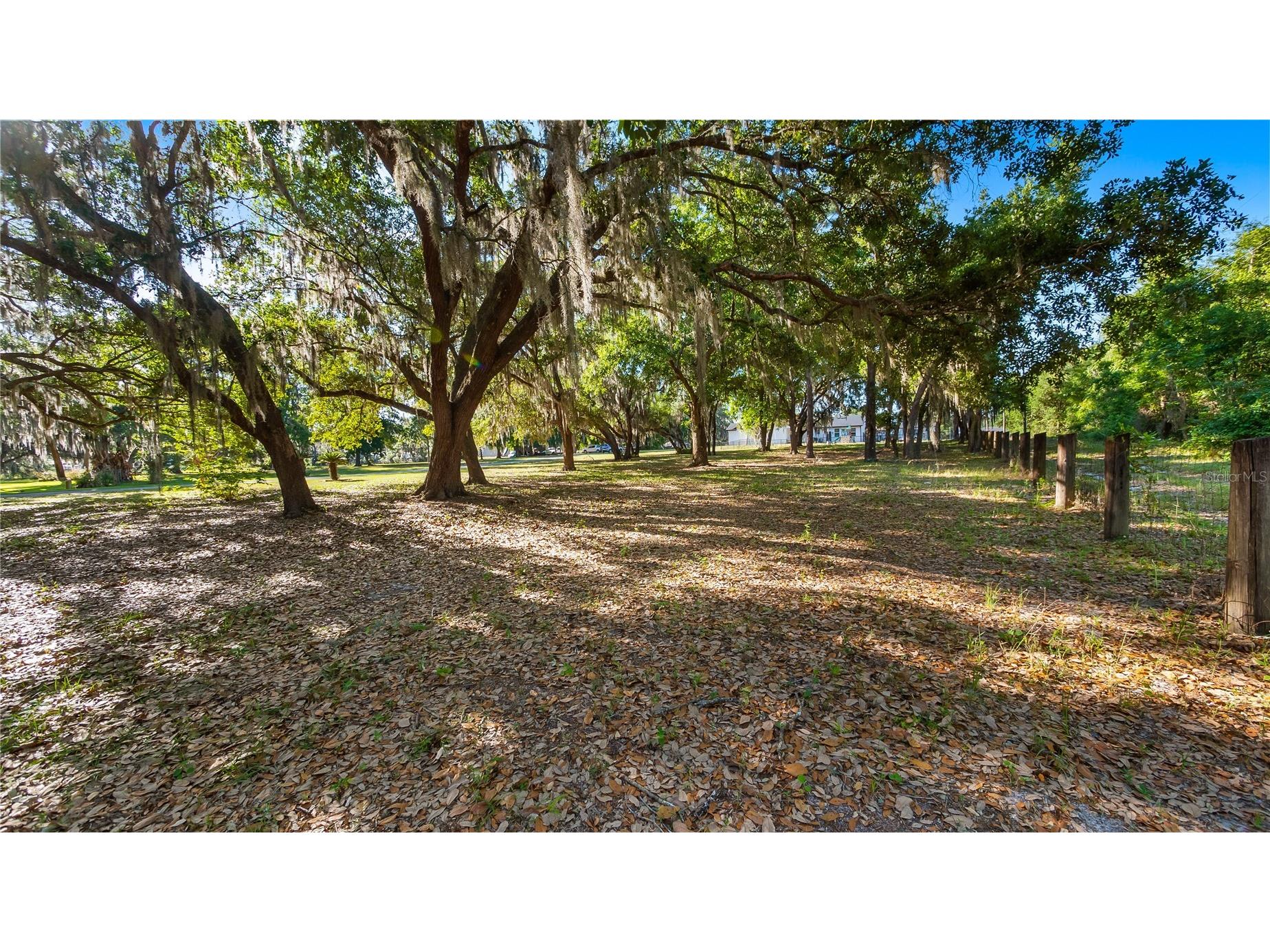 Legacy Woods Groveland FL 34736 G5111017 image12