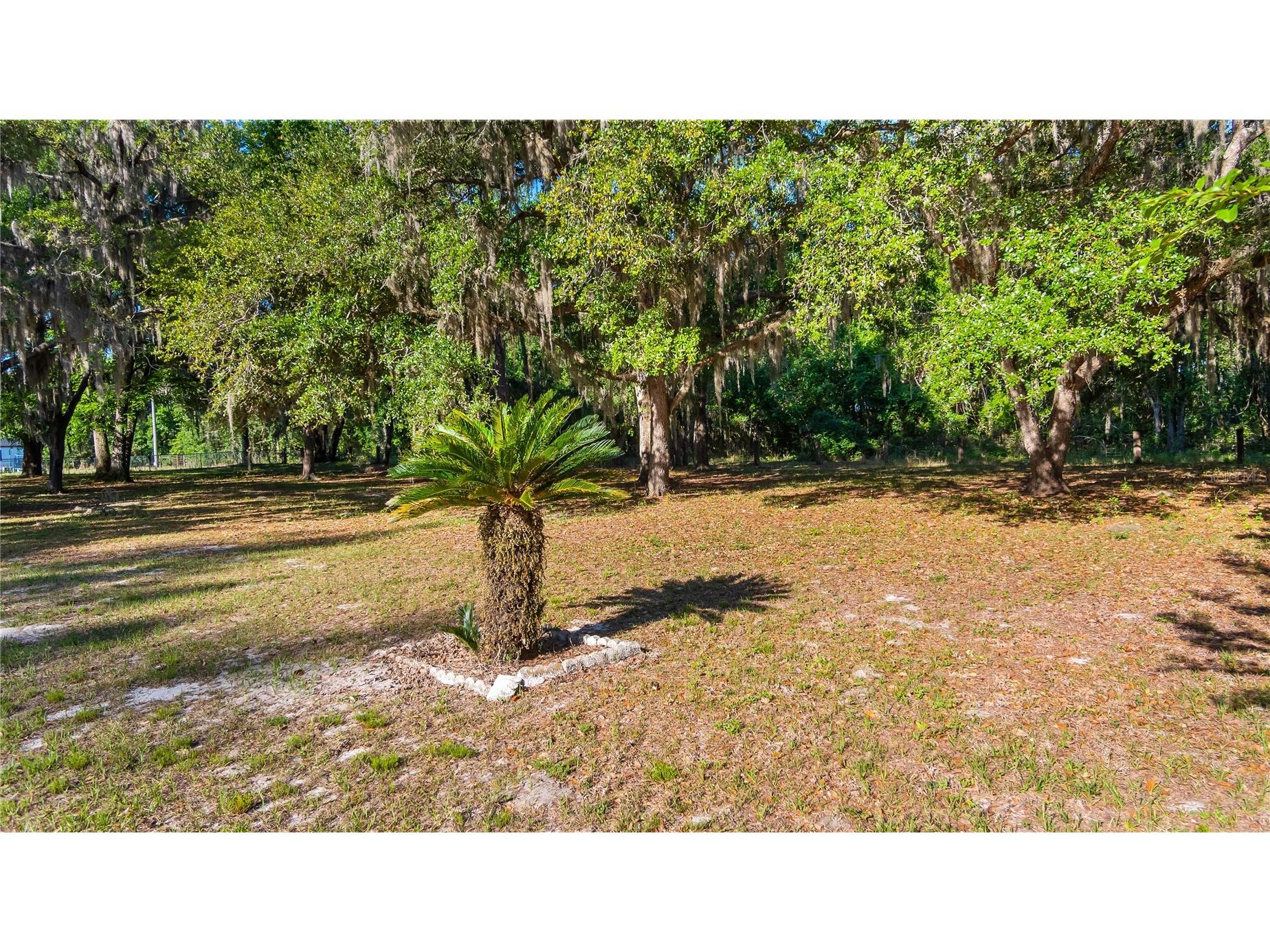 Legacy Woods Groveland FL 34736 G5111017 image17
