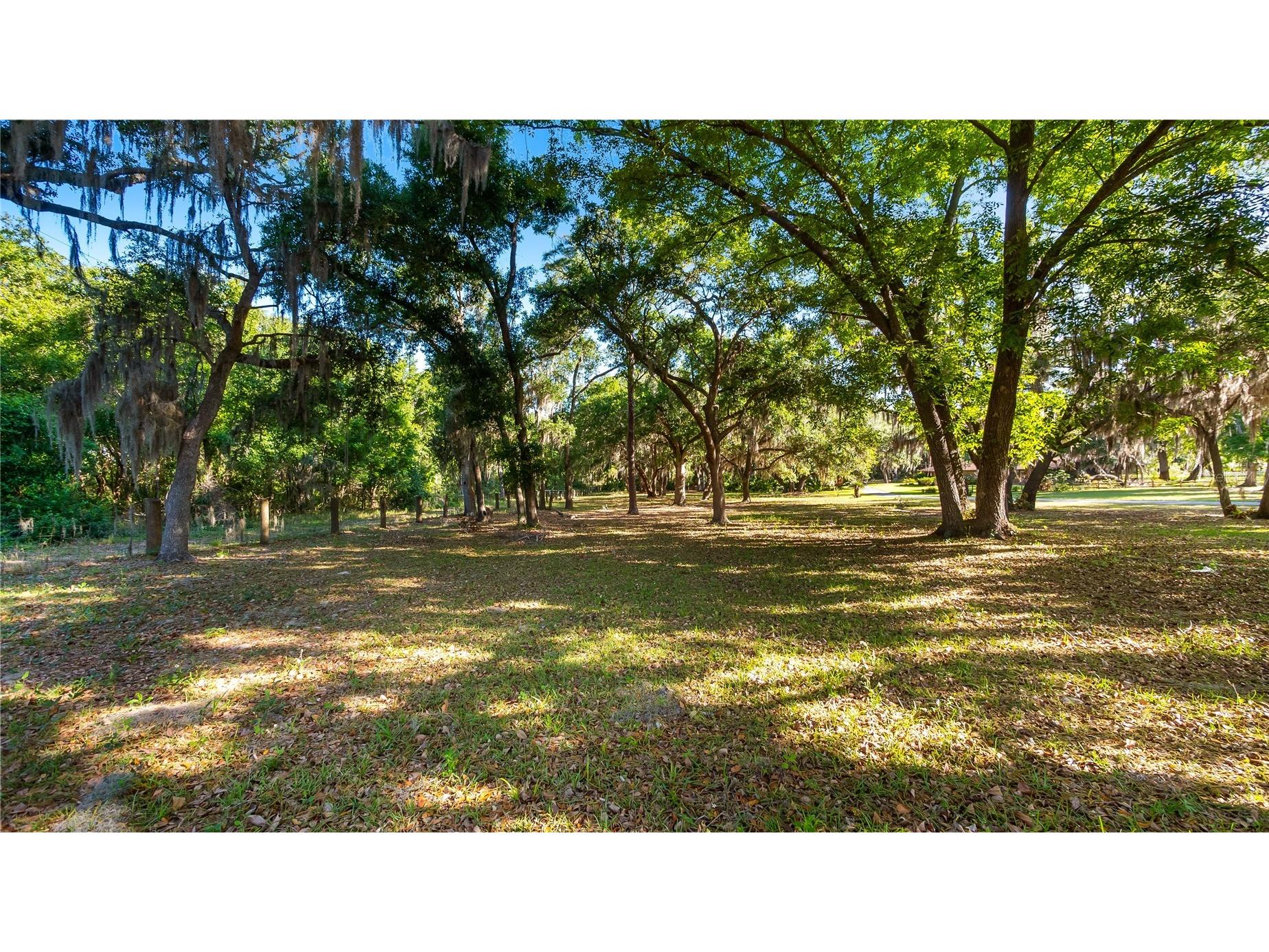 Legacy Woods Groveland FL 34736 G5111017 image18