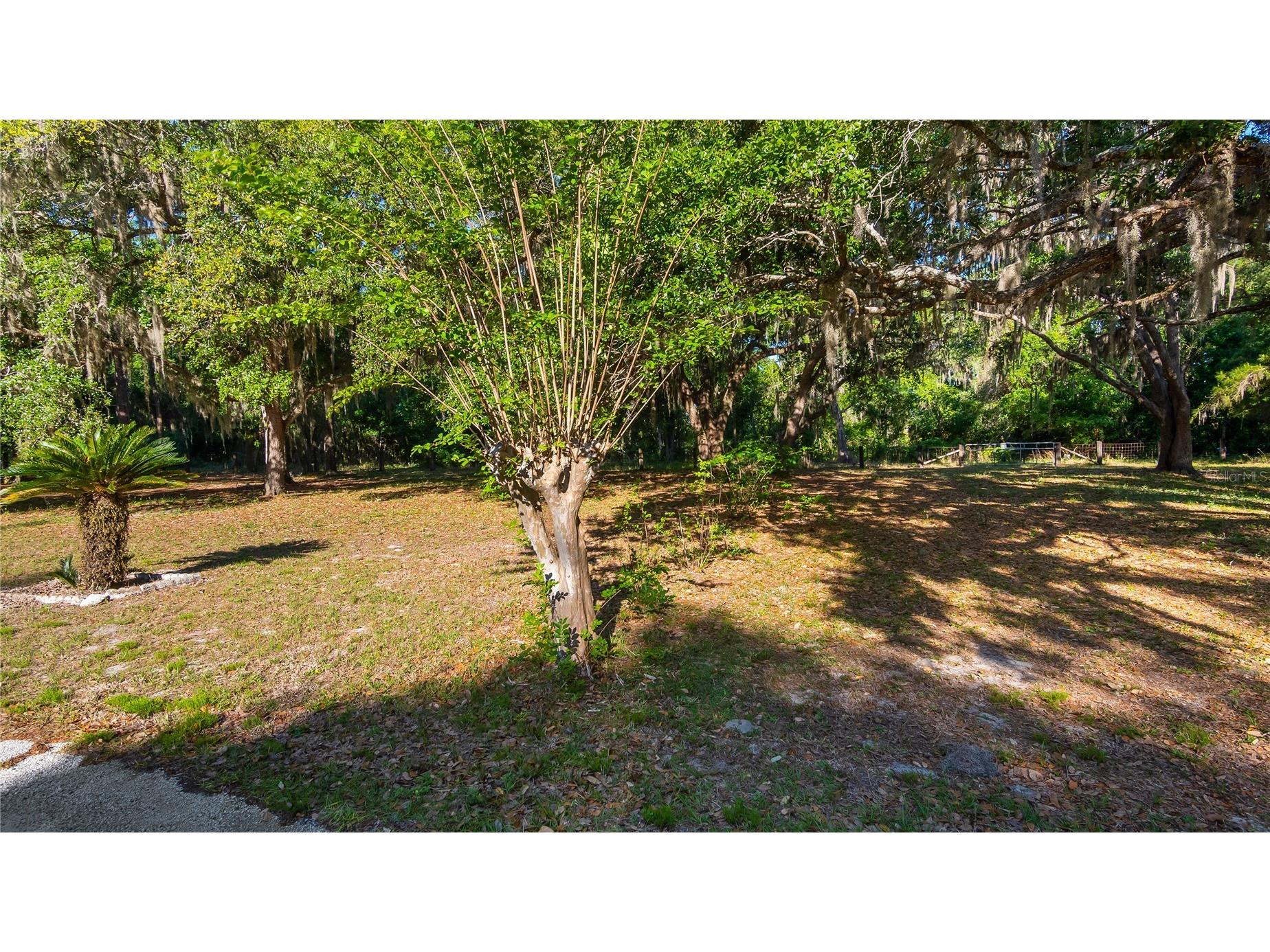 Legacy Woods Groveland FL 34736 G5111017 image21