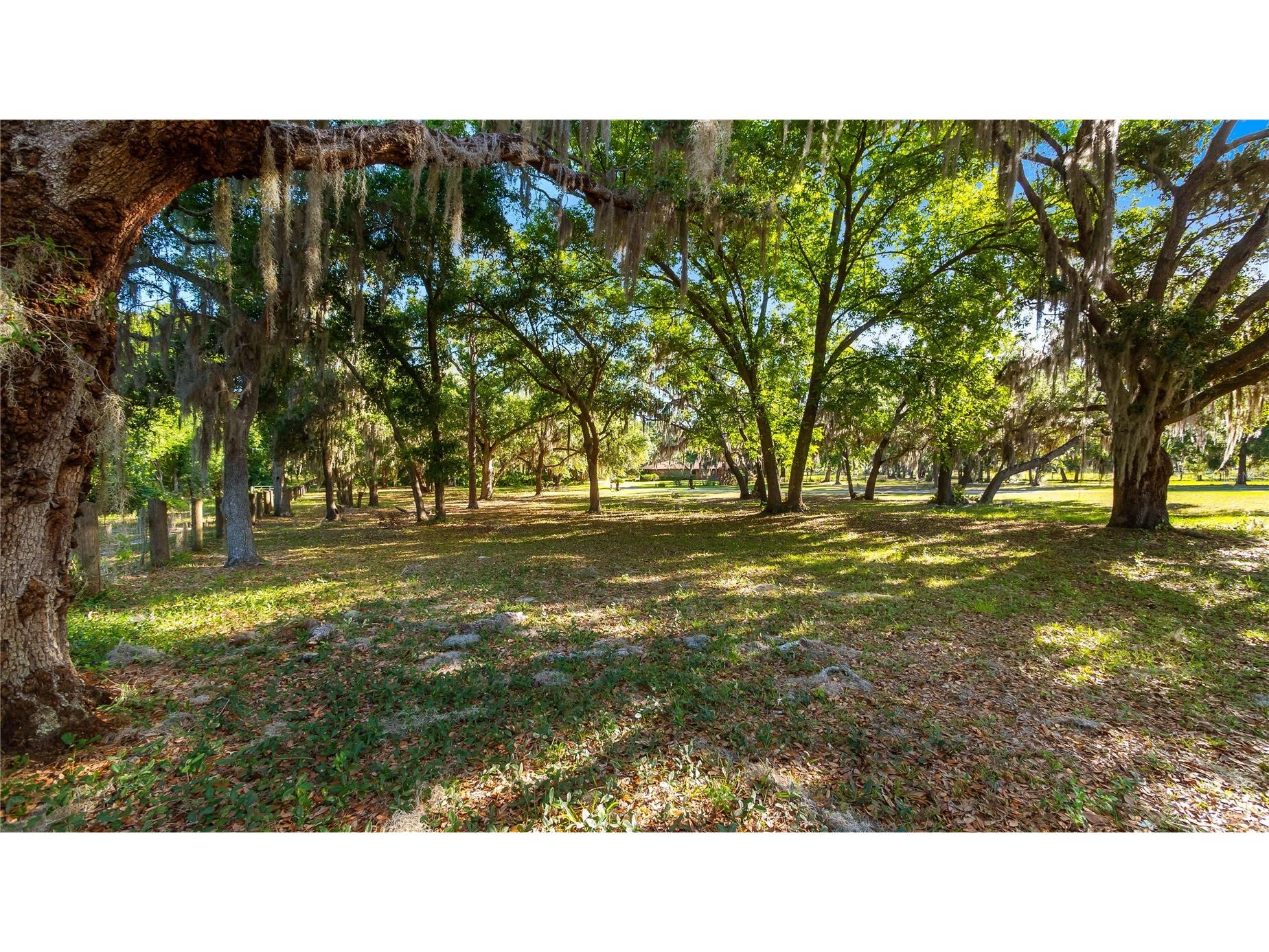 Legacy Woods Groveland FL 34736 G5111017 image22