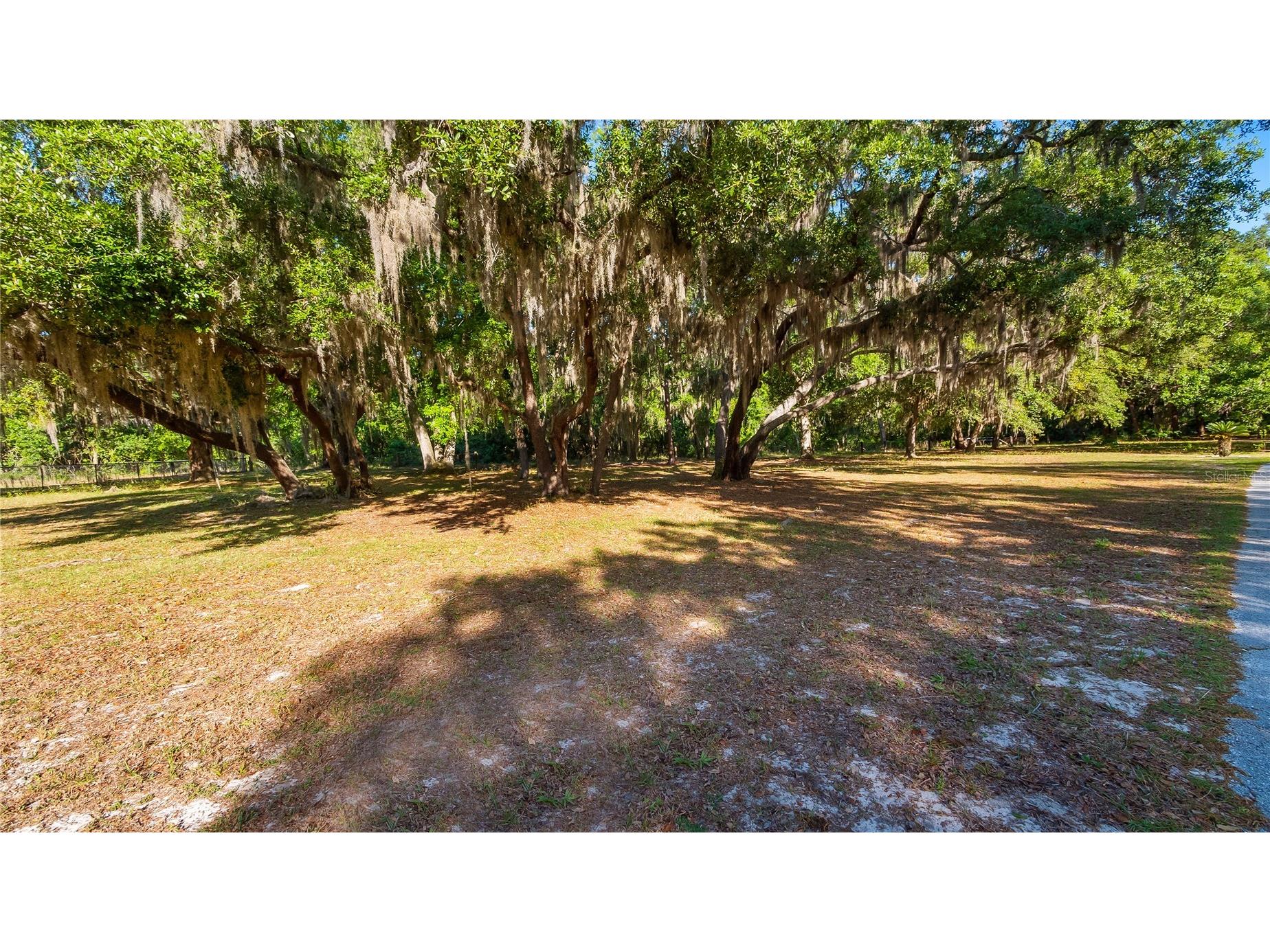 Legacy Woods Groveland FL 34736 G5111017 image24