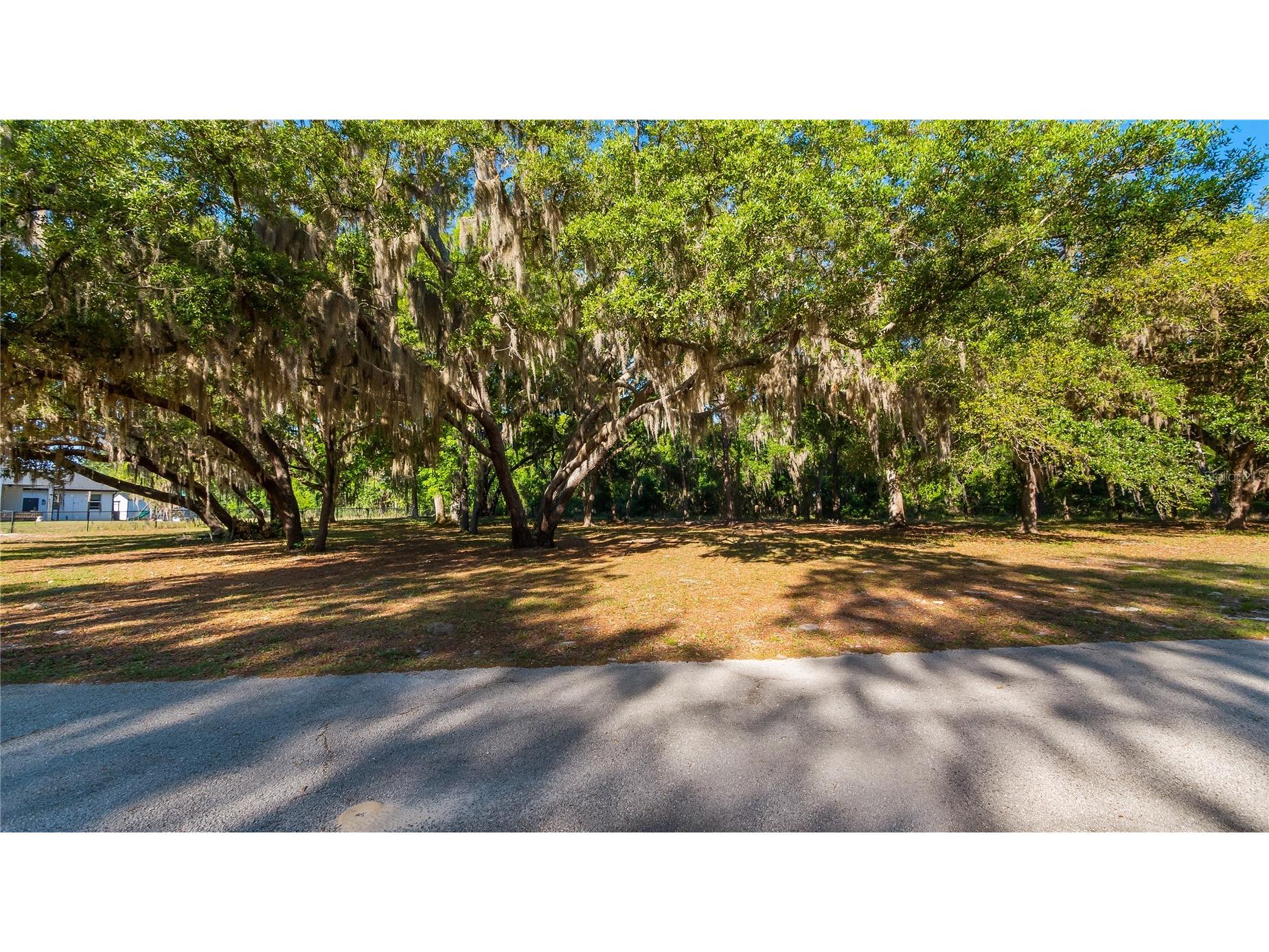 Legacy Woods Groveland FL 34736 G5111017 image25