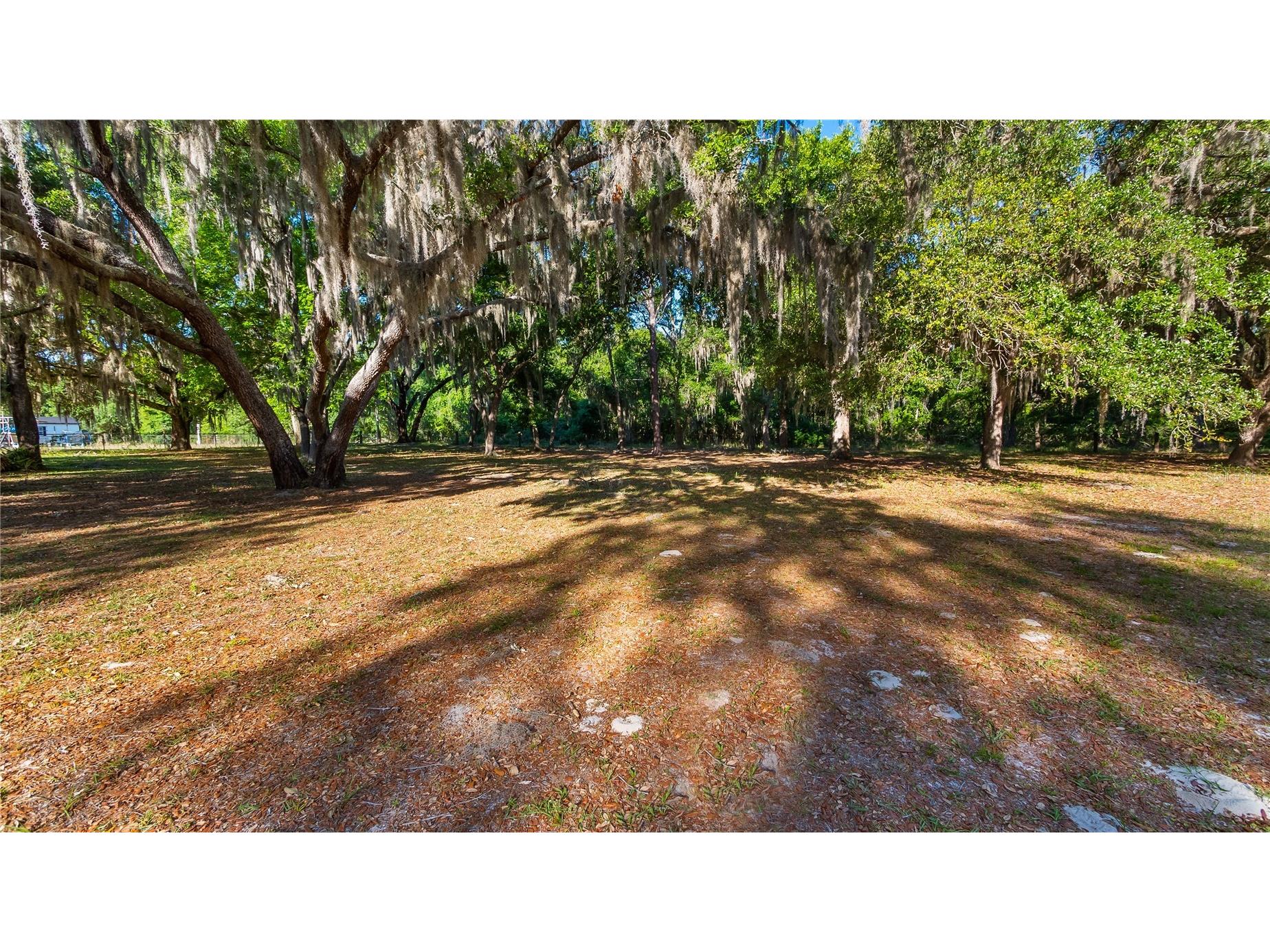 Legacy Woods Groveland FL 34736 G5111017 image27