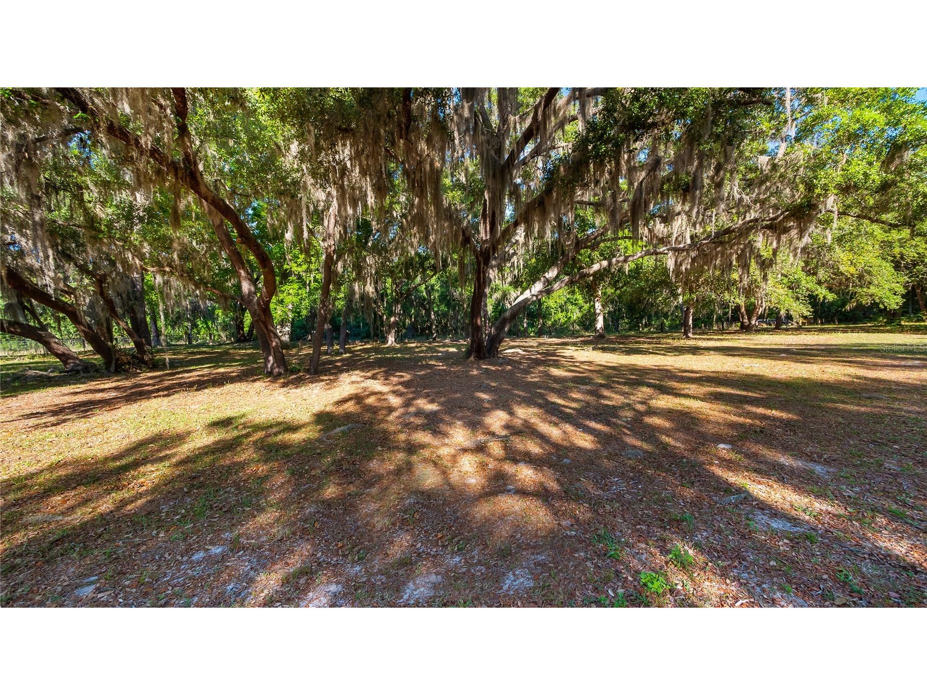 Legacy Woods Groveland FL 34736 G5111017 image29