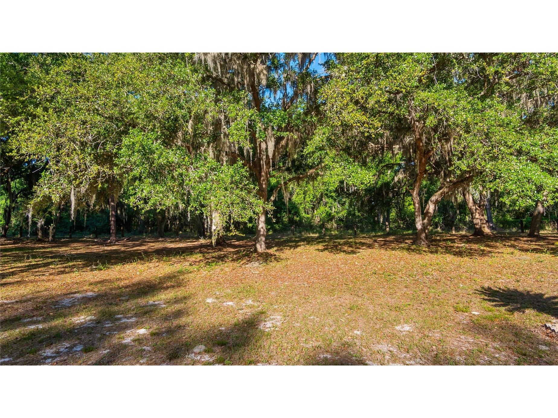 Legacy Woods Groveland FL 34736 G5111017 image3
