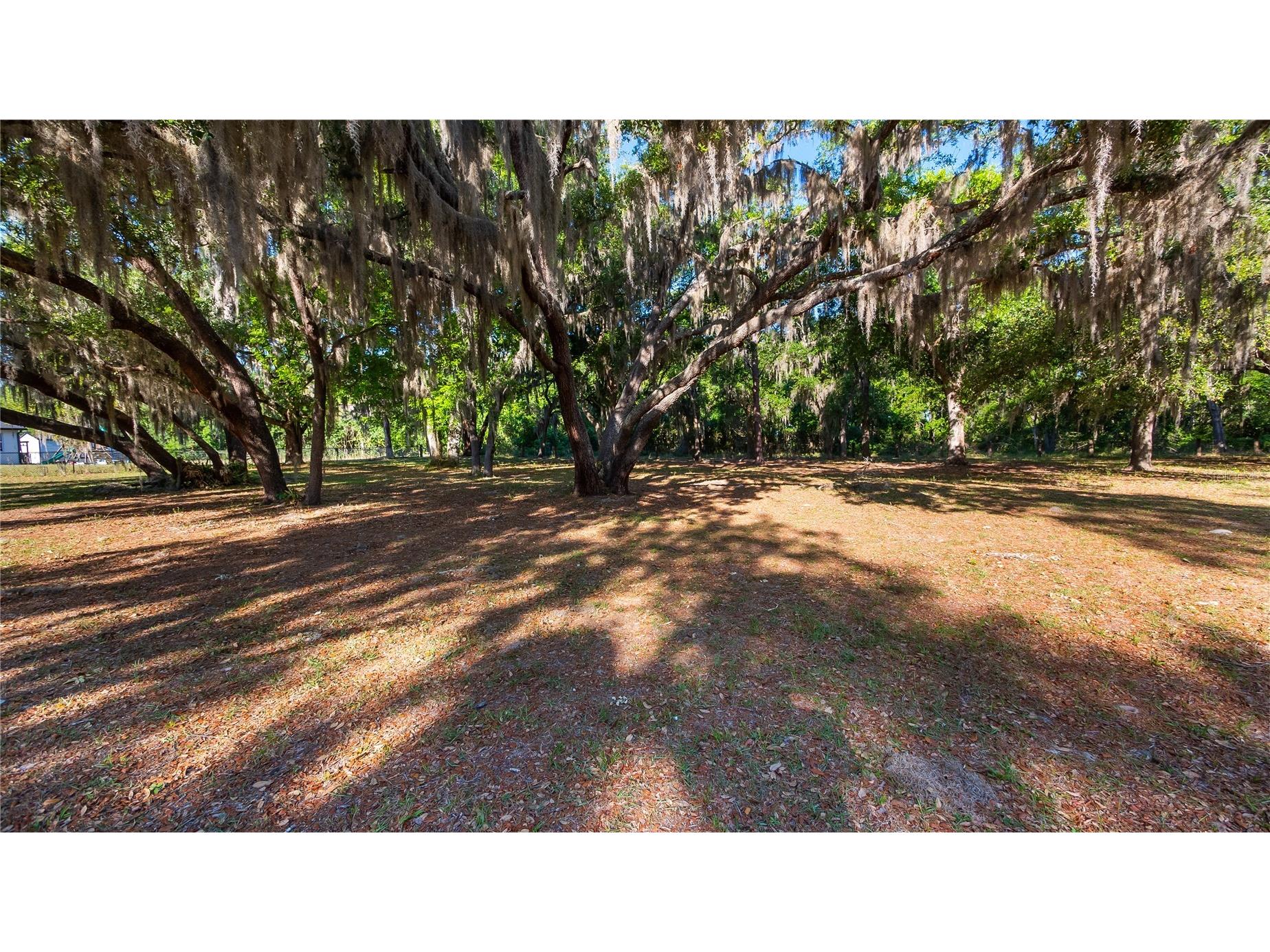 Legacy Woods Groveland FL 34736 G5111017 image32