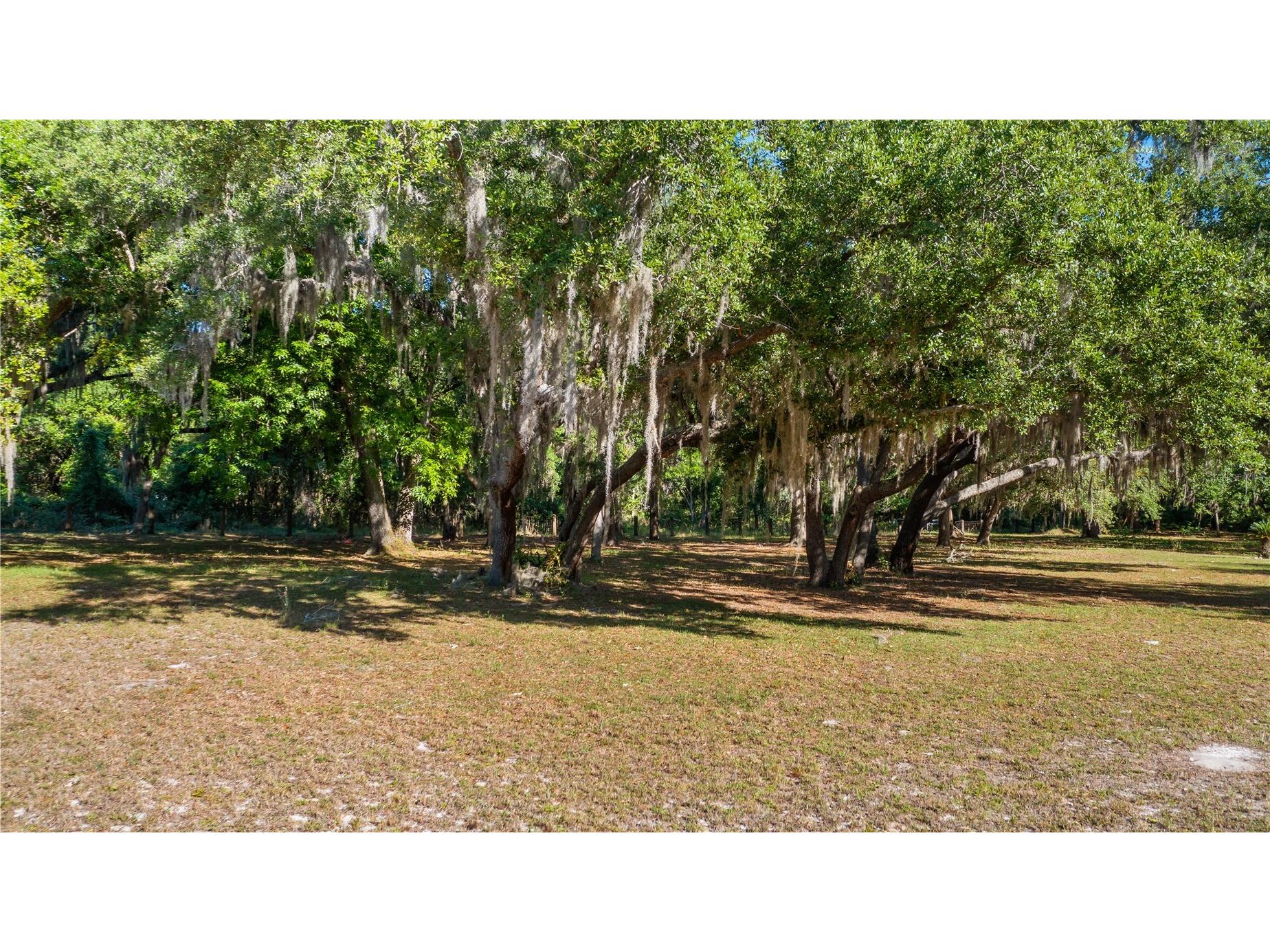 Legacy Woods Groveland FL 34736 G5111017 image8