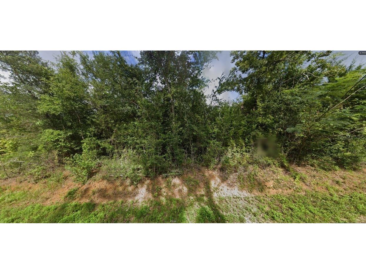 Leland Rd Marianna FL 32448 O6280059 image10