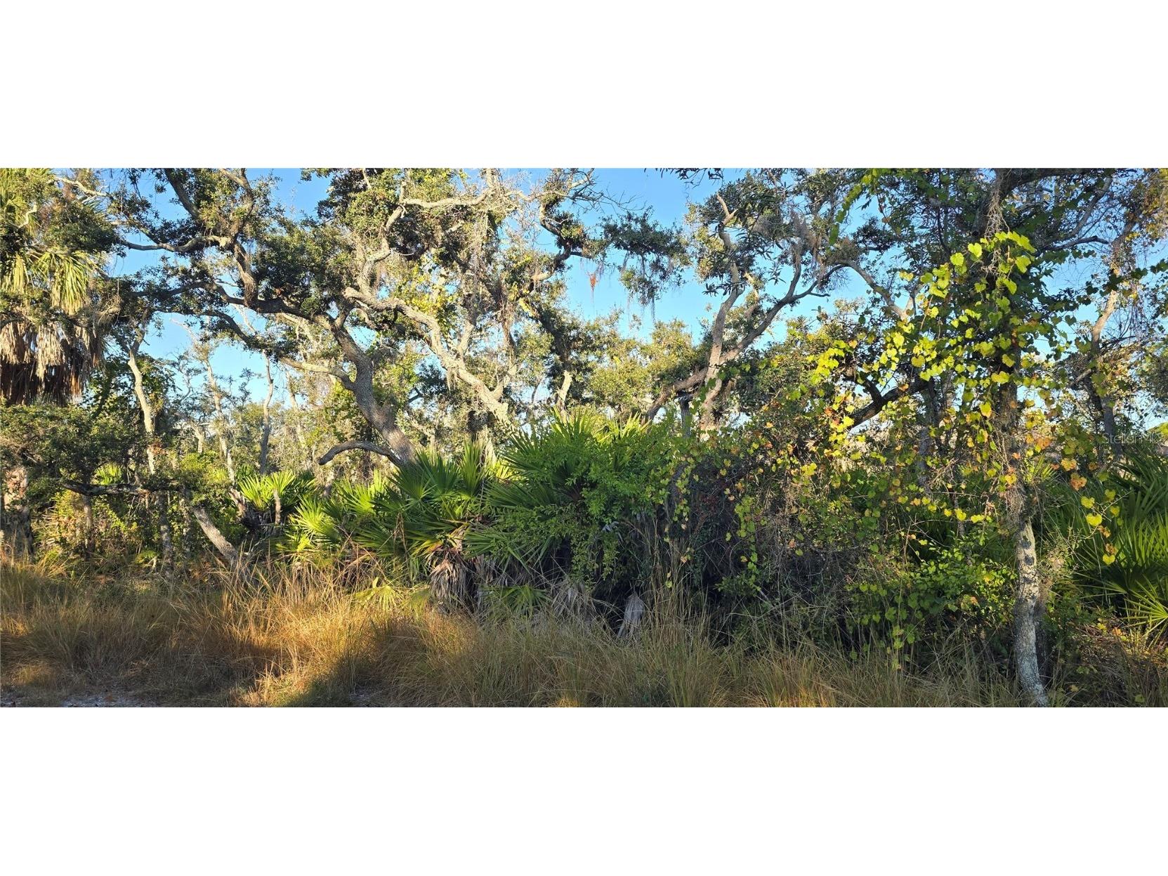 Lemon Avenue Englewood FL 34223 D6144885 image2